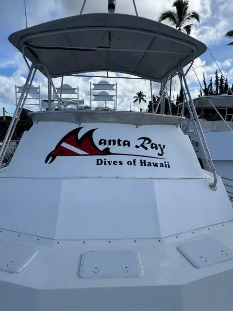 Week of diving with Manta Ray Dives