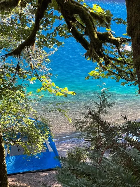 Seattle | Mountain-Backed, Water-Front Healing Camping Site 🏕️