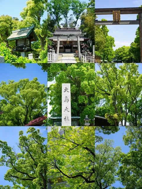 Osaka | Off-the-Beaten-Path Attraction: Ōtō Shrine 🌸