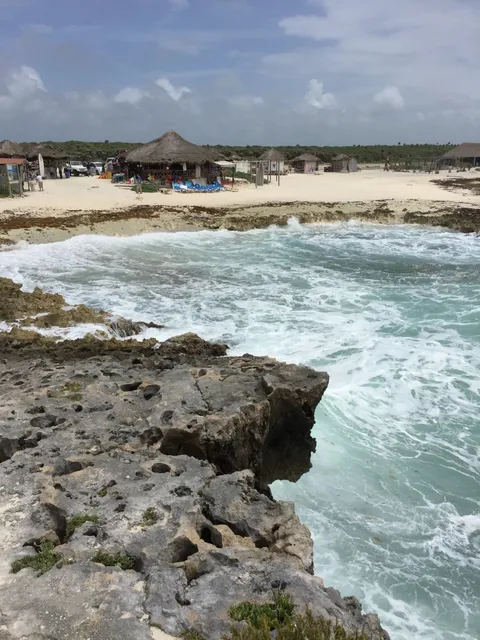 Cozumel Island, Mexico 🌴🐠