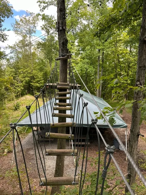 My Favorite Outdoor Activity This Year—Tree Climbing 🌲