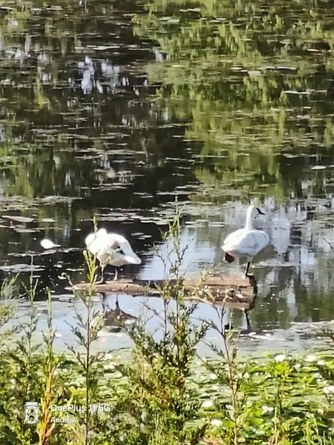 Toronto Hiking Adventure: Rouge National Urban Park  🌳🥾