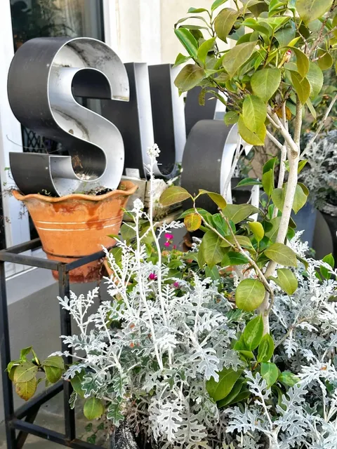 A Charming Town Where You Can Pretend You’re in France 🇫🇷