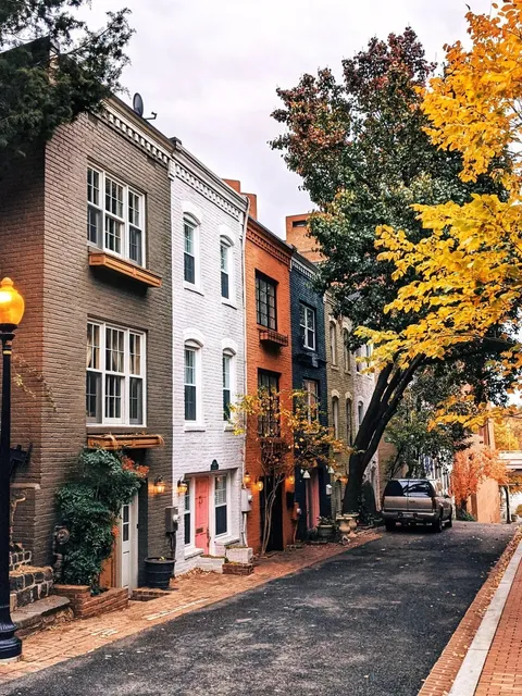 🇺🇸 Washington DC 🍂 8 Stunning Fall Foliage Spots for Photos & Walks