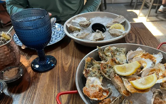 Virginia Beach Dolphin Kayaking Tour 🌊