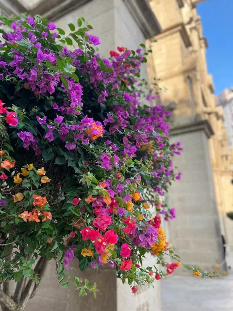 🏛️ The Architectural Splendor of Sacred Heart Cathedral（2）