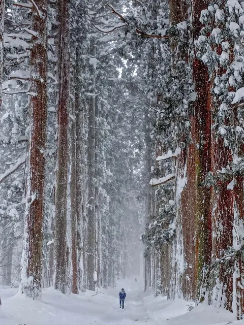 🌨️ Winter Off-the-Beaten-Path Destinations to Visit in Japan! ❄️