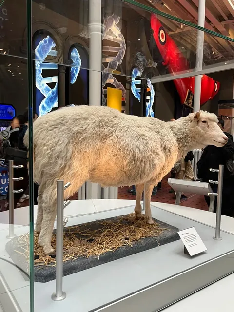 🏴󠁧󠁢󠁳󠁣󠁴󠁿 Edinburgh Citywalk: 1-Day Perfect Route! 🗺️✨