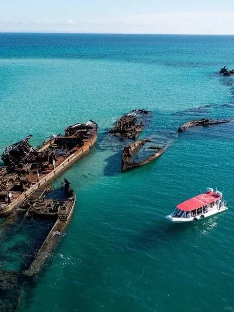 Day Trip to Moreton Island from Brisbane｜Totally Worth It! 😭