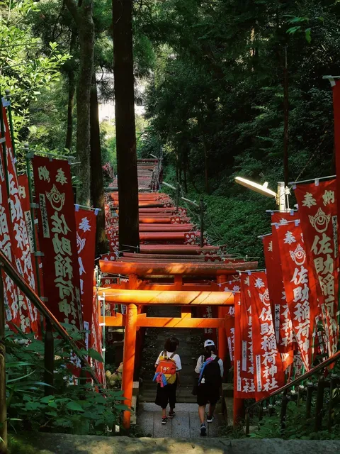 Sasuke Inari Shrine (2)🌲⛩️