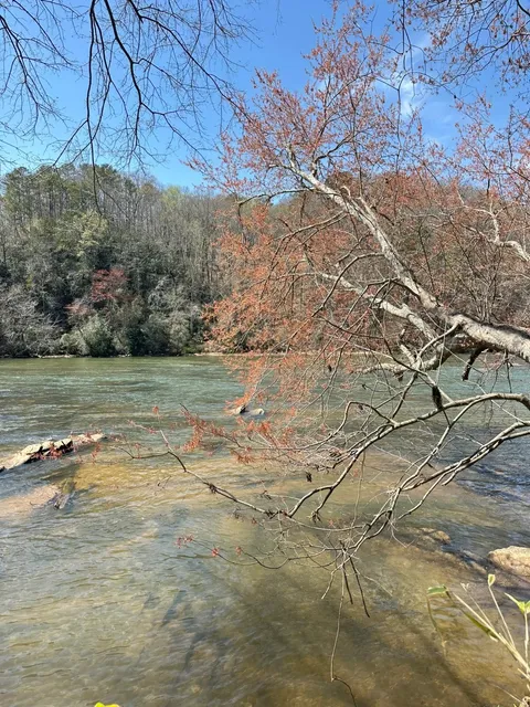 🌿 Atlanta Hiking | East Palisades Trailhead
