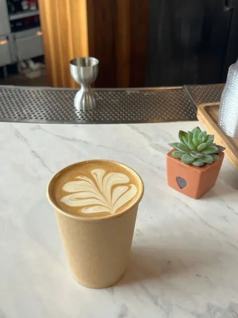 DENVER Coffee Shop Exploration _Vibe Coffee and Wine！☕️