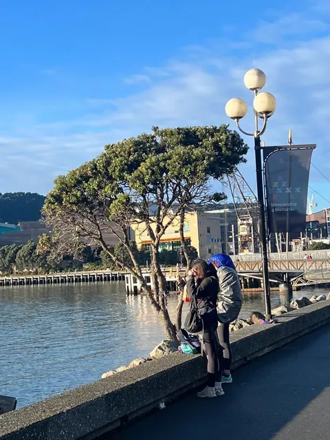 🚶♀️ In NZ, the End of Citywalk Is Wellington, Right?