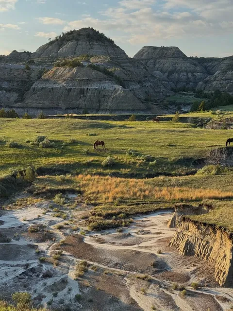 ​​Theodore Roosevelt National Park | North Dakota’s Hidden Wonder 🏞️✨