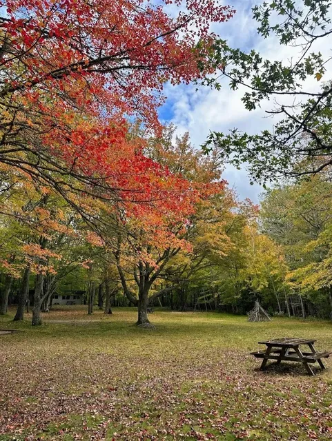 The Maple Leaves Have Turned Red at Kejimkujik National Park 🍁😍
