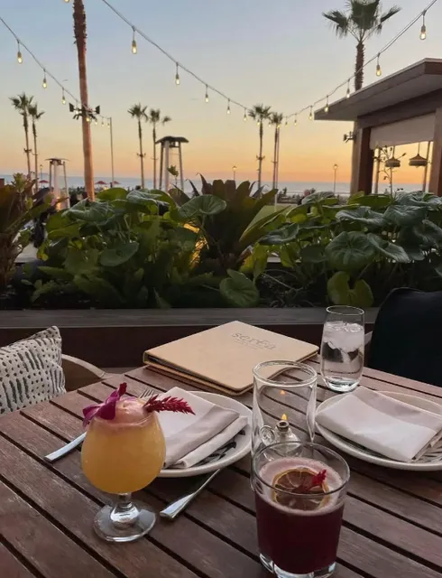 Don’t Miss the Best Sunset Restaurant Vibe in San Diego!