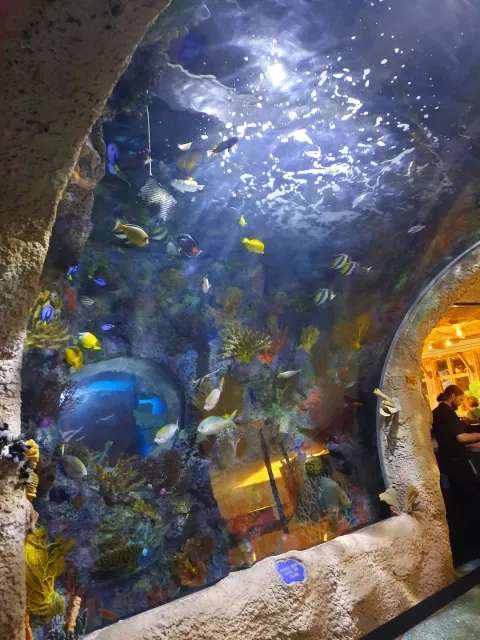 The Best Vibe & Delicious Food! 🍽️🌊