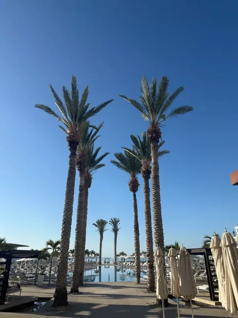 Los Cabos All-Inclusive Resort | Le Blanc Experience + Booking Guide 