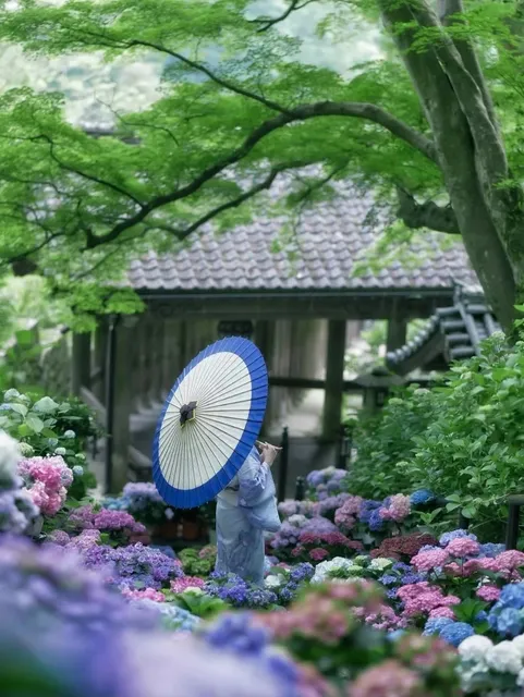 🌞 Summer Gem Check-in Spot | Japan 🌞