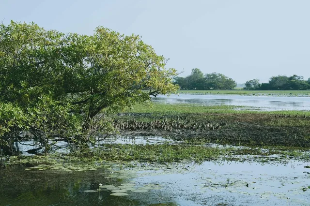 My Only Photo with a Crocodile! 🐊📸 | Northern Territory Adventures
