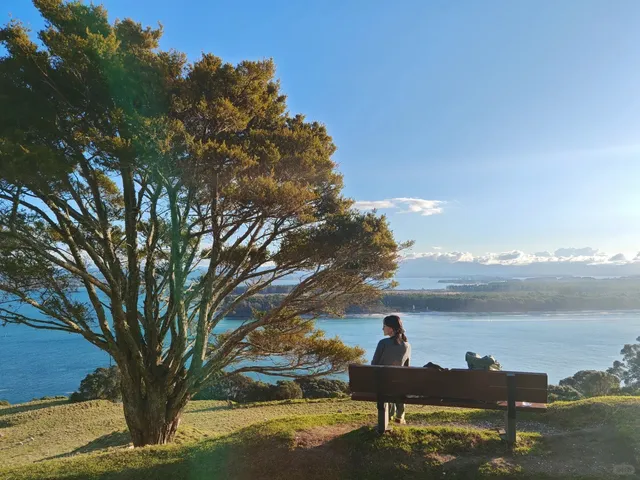 🇳🇿 Tauranga Speedrun (Car-Free Edition!) 