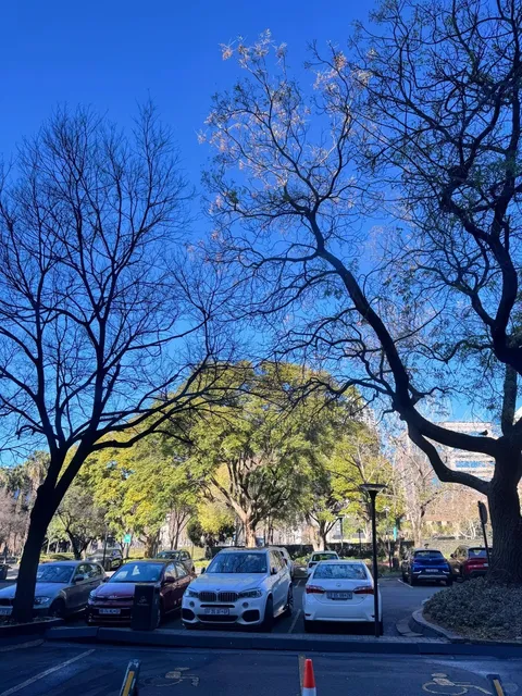 🇿🇦 Pretoria | A City of Contrasts and Blossoms