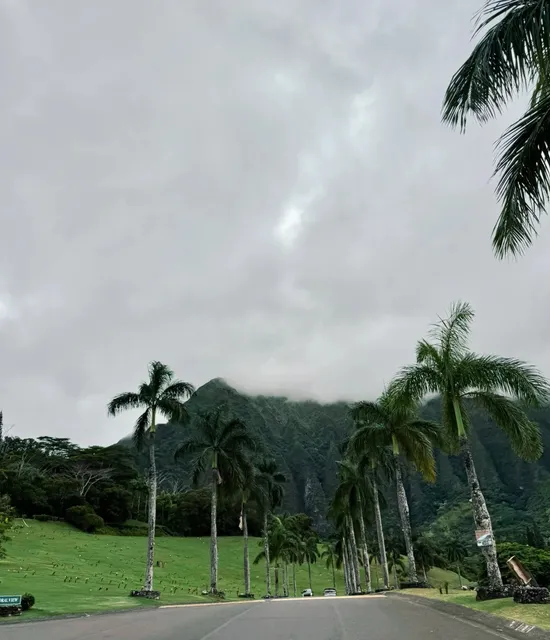 🌺 4-Day Hawaii Itinerary: Honolulu + Big Island Free & Easy Guide