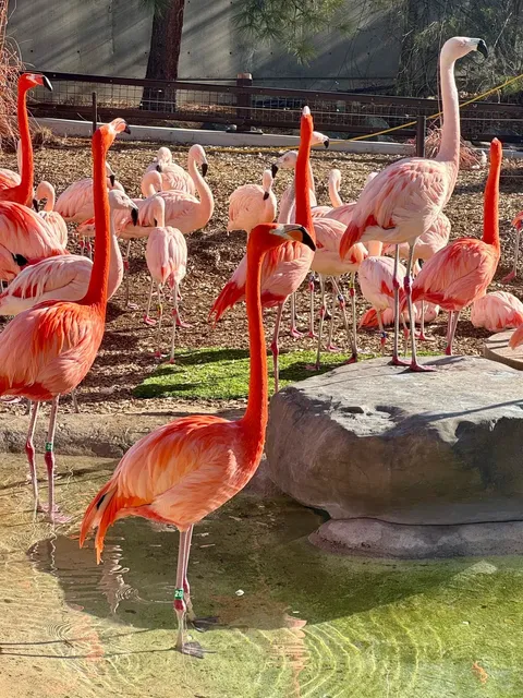 Denver Trip – Five Days in the Mile High City ⚒️