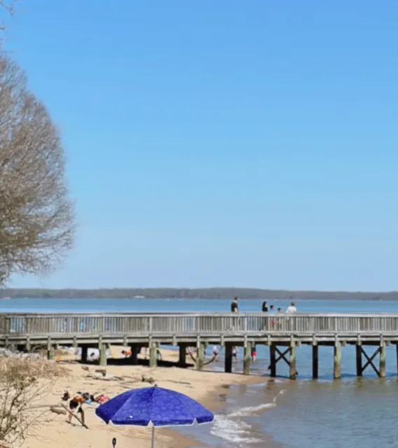  Boating & Dog-Friendly Fun Just 30 Mins Away! 🐕🚣☀️