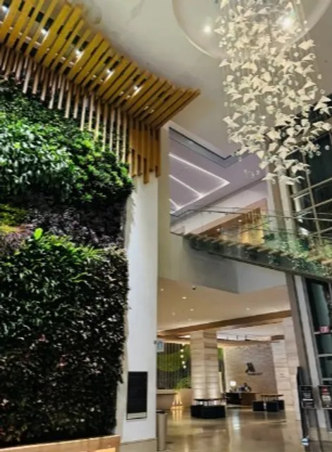 🏨 Marriott Virginia Beach Oceanfront Resort