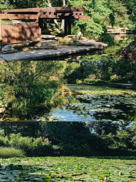 Alfred Caldwell Lily Pool