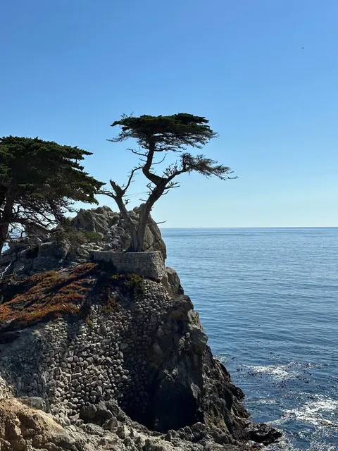 🇺🇸 17-Mile Drive｜Stunning Coastal Road Trip in the Bay Area