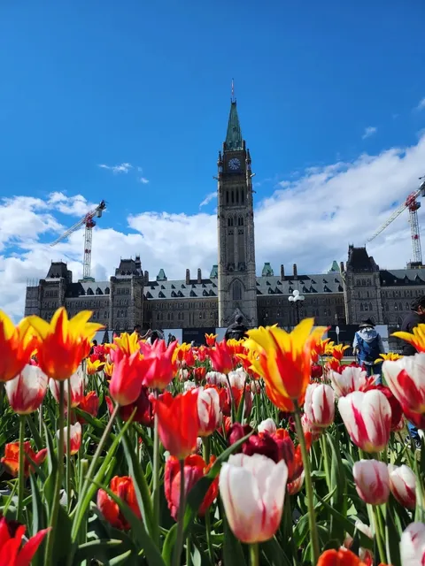 🚗💨 Ottawa Day Trip Diary | Family Adventure in the Capital! 💨🚗