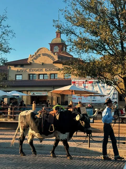 Immerse Yourself in Wild West Charm!