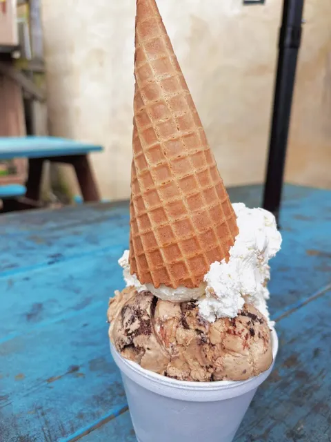 Where Autumn Paints the Valley in Fiery Hues 