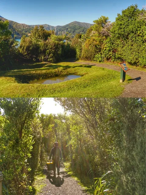 🇳🇿 2 Days in Picton: The Ultimate Stopover Guide