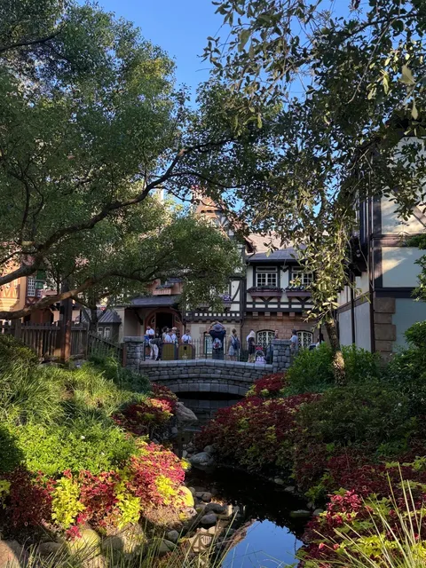 Magic Kingdom Ride Reviews 🏰