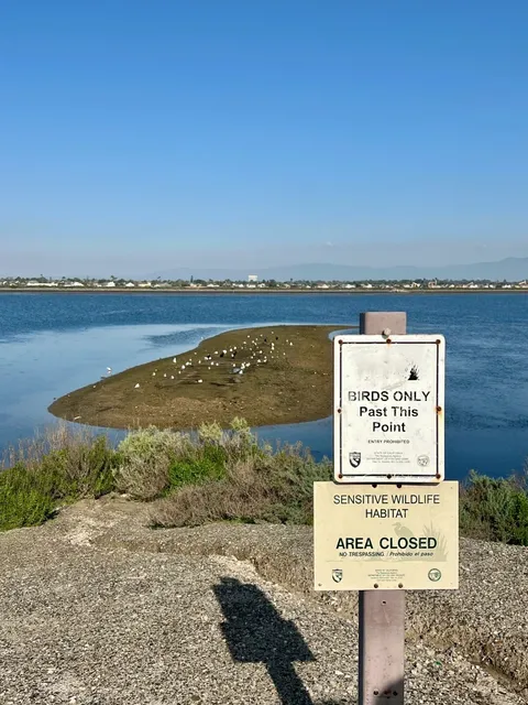 LA Zen Spot Review 🪼 Orange County's Favorite Stress-Relief Sanctuary