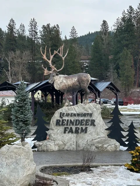 Leavenworth 🎄 | Come to Seattle for Christmas and pet the reindeer!