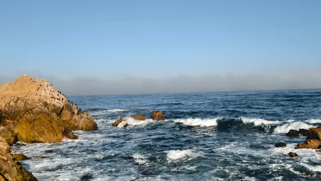 Rocks & Waves 🌊 California's Highway 1 – 17-Mile Drive  