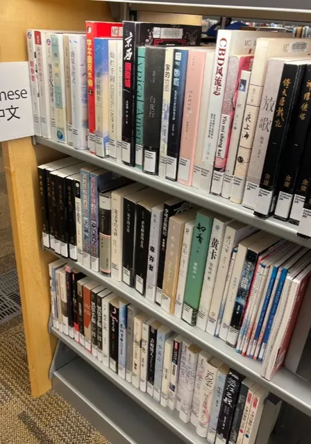 📚 Minneapolis Central Library | A Modern Temple of Light & Learning