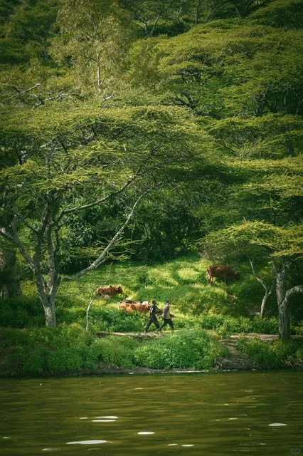 Hora Crater Lake | The Sacred Lake of the Oromo People
