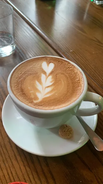 Miami Quality, Warmth & Cuban Flavor 🇨🇺🌴✨