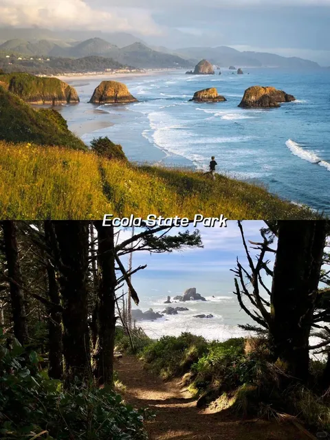 Oregon’s Highway 101 | 12 Photo Spots That Are Unbelievably Stunning 