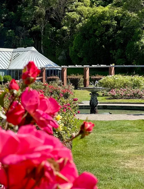 5 Days in New Zealand’s North Island 🇳🇿 | The Ultimate Itinerary