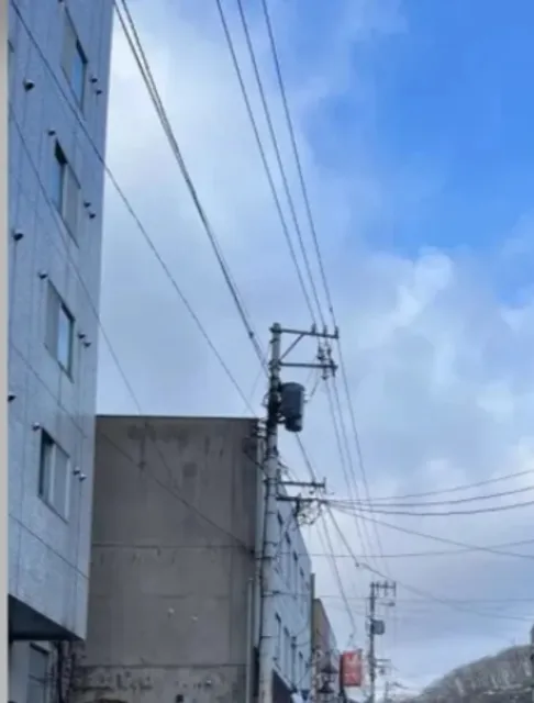 Japanese Travel Memories 🗼🌸