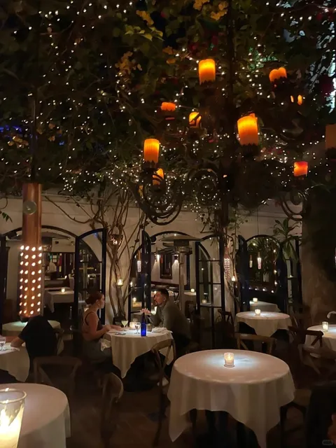 The Little Door ✨ A Romantically Charming French Restaurant 🍴🌹