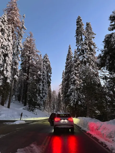 Sequoia National Park – L.A. to Giant-Tree Nirvana in One Weekend