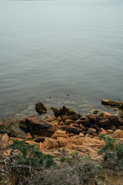 🏞️ Acadia National Park — 2-Day Chill Guide 😎🌲