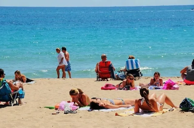 🌊Miami Chronicles: Beachside Bliss Forever 🌴